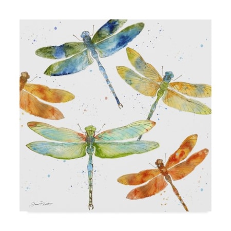 TRADEMARK FINE ART Jean Plout 'Dragonfly Bliss 1' Canvas Art, 24x24 ALI37338-C2424GG